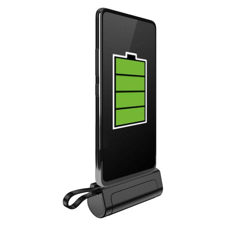 Powerneed EP50 (5000 mAh, 10 W, 18.50 Wh) (EP50)