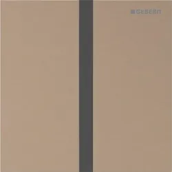Geberit Typ 40 Urinal-Steuerung mit elektronischer Spül-Auslösung 116237QB1