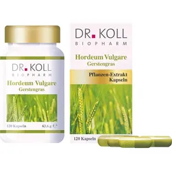 Gerstengras - Hordeum Vulgare 120 ST