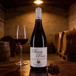 Bodegas y Vinedos Ponce 2018 Ponce Buena Pinta 2018 Moravia Agria,Garnacha Spanien