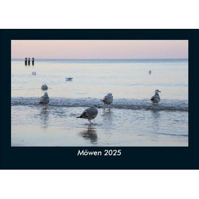 Möwen 2025 Fotokalender DIN A5
