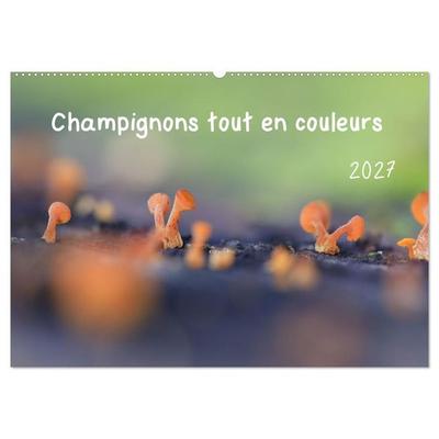 Champignons tout en couleurs (Calendrier mural 2027 DIN A2 vertical), CALVENDO calendrier mensuel