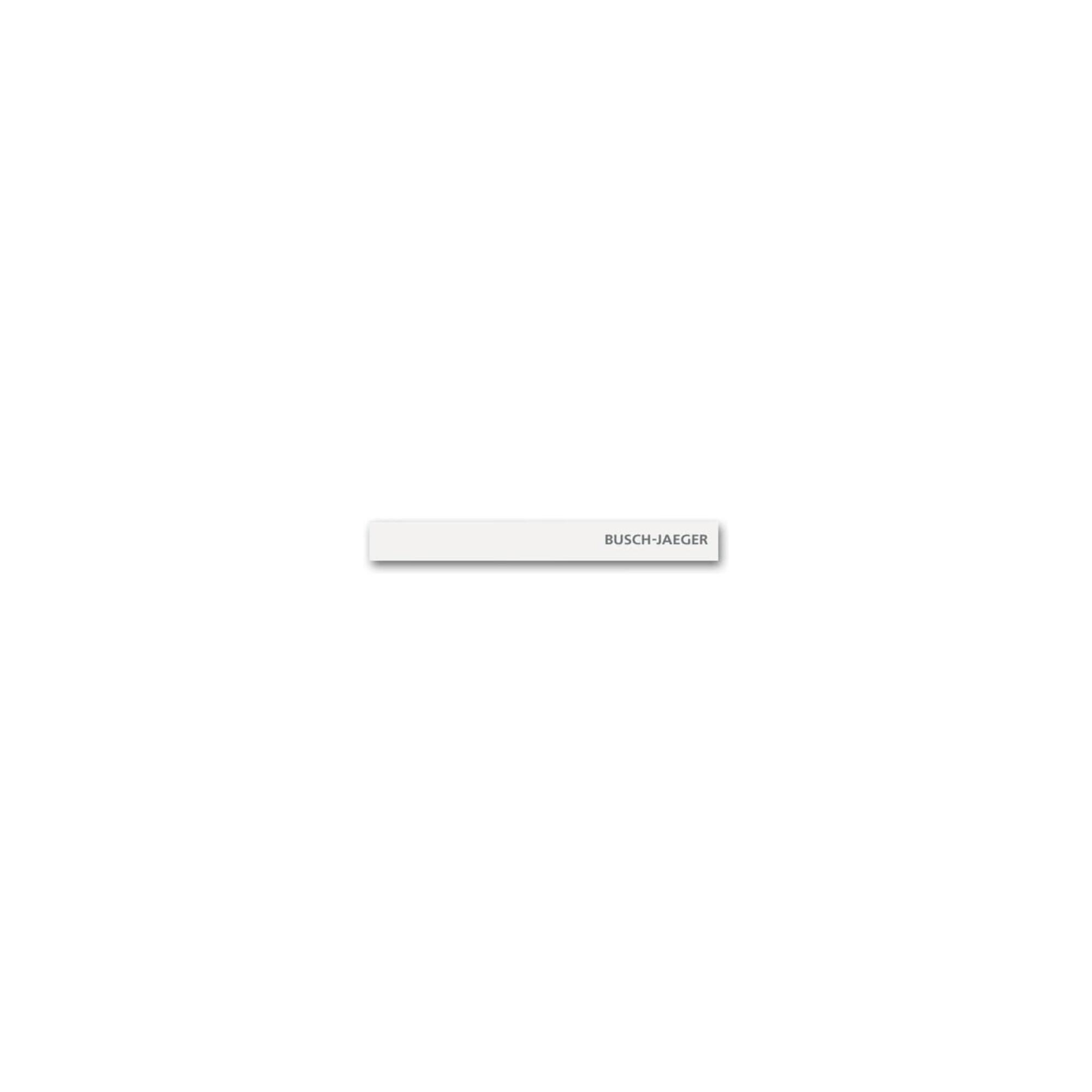 Busch-Jaeger Abschlussleiste unten Standard m.Kennz. 6349-24G-101 (2CKA006310A0151)