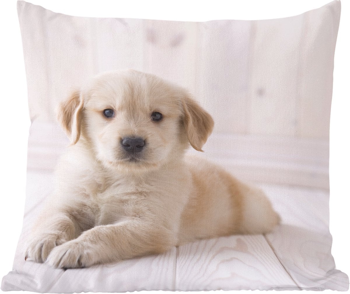 Sierkussen Witte Golden Retriever puppy voor in de woonkamer, 40 x 40 cm