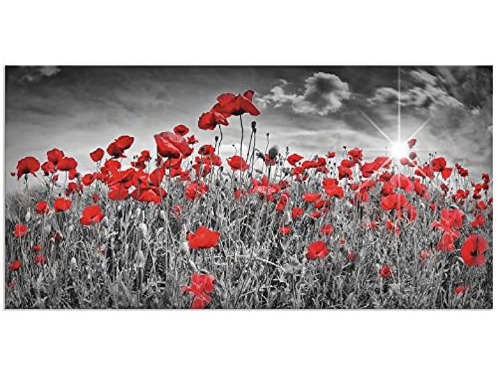 ARTland Wanddeko Wandbild Alu Verbundplatte für Innen & Outdoor Bild 60 x 30 cm Pflanzen Blumen Blumenwiese Mohnblume Rot Foto Schwarz Weiß Idyll Sonne S8HV