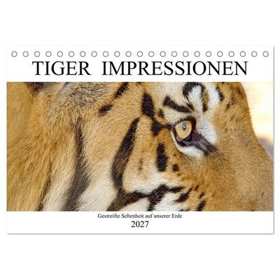 TIGER IMPRESSIONEN Gestreifte Seltenheit auf unserer Erde (Tischkalender 2027 DIN A5 quer), CALVENDO Monatskalender