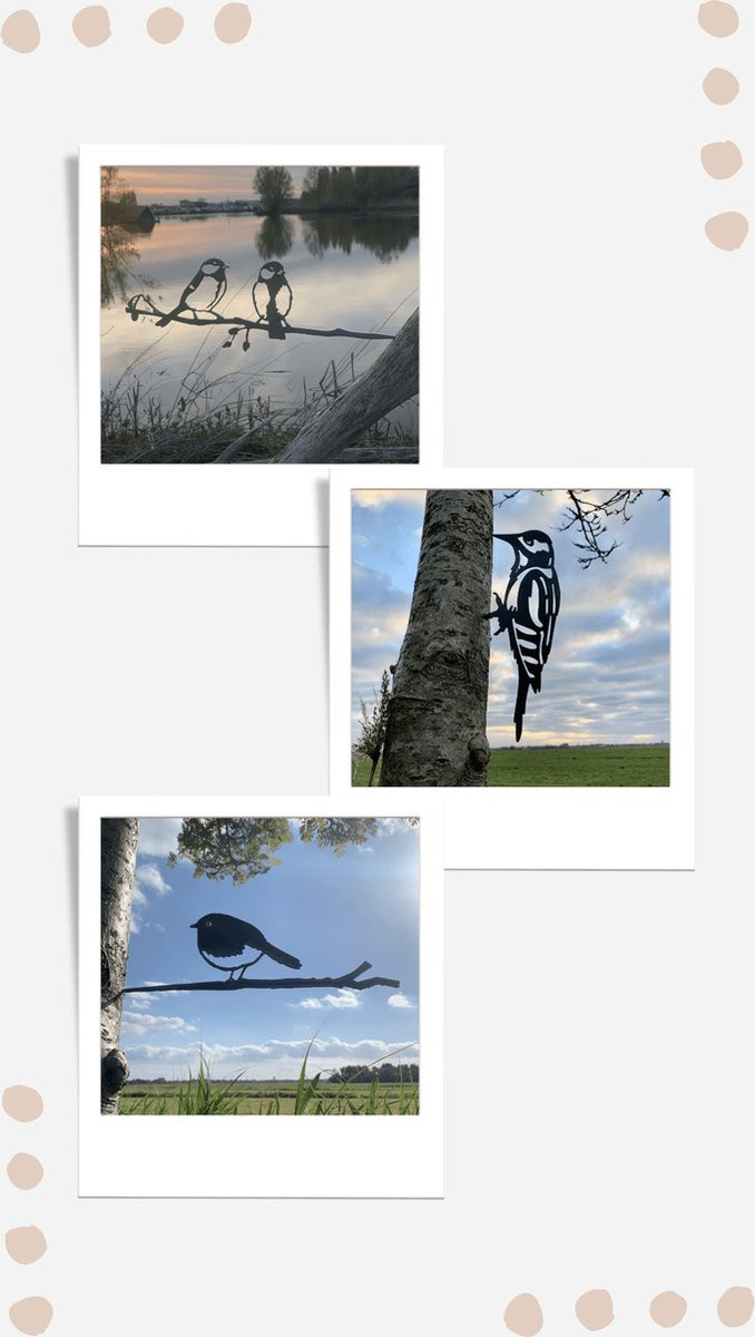 Metalen vogel tuin decoratie actiepakket