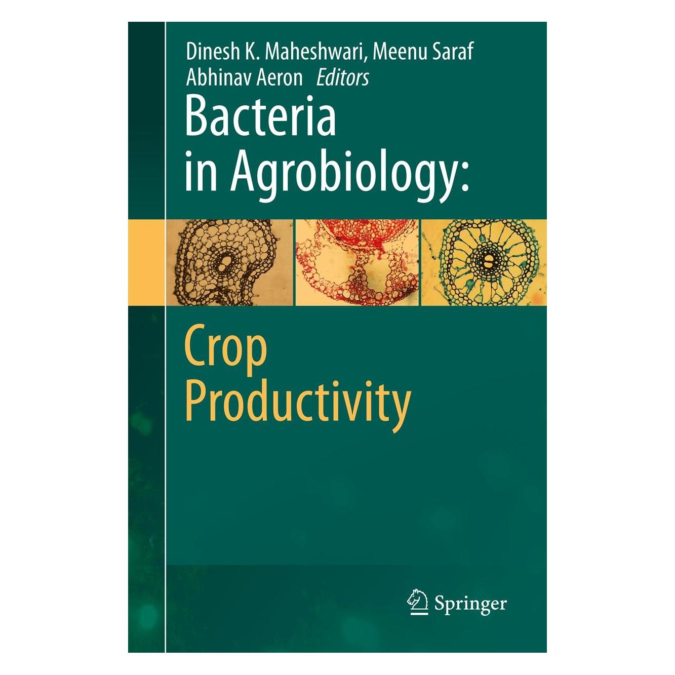 Springer Bacteria in Agrobiology: Crop Productivity (Englisch, Hardcover, Abhinav Aeron, Dinesh K. Maheshwari, Meenu Saraf) (9783642372407)
