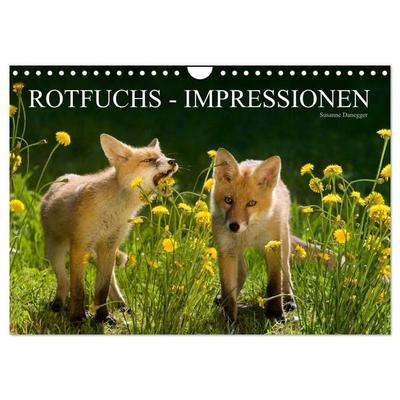 Rotfuchs - Impressionen (Wandkalender 2027 DIN A4 quer), CALVENDO Monatskalender