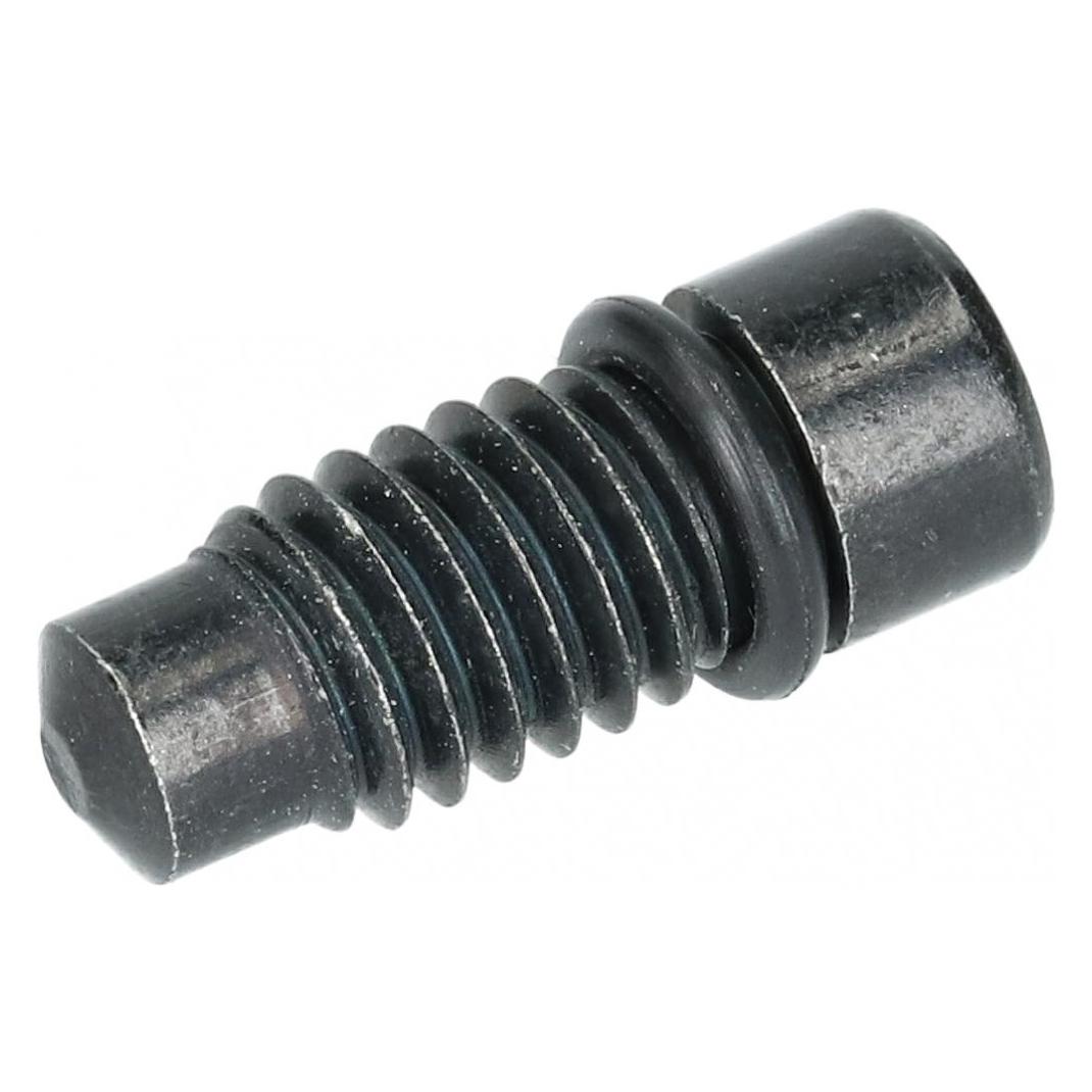 Shimano Entlüfterschraube für BR-RS785 inkl. Dichtring (39189944)
