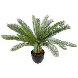 Hjh Office, Kunstpflanzen, Cycas (70 cm)