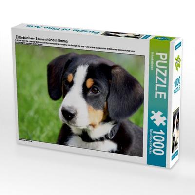 CALVENDO Puzzle Entlebucherr Sennenhündin Emma | 1000 Teile Lege-Größe 64x48cm Foto-Puzzle für glückliche Stunden