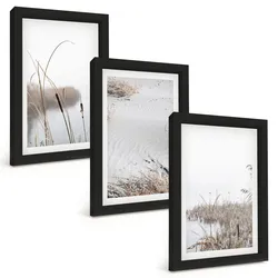 BILDER SET 3er Set - 20x30 cm Schwarzer Rahmen - Wasserpflanzen im Sommer