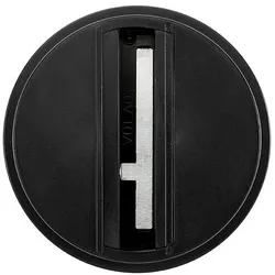 SG Leuchten Monopoint 314423