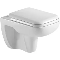 DM-San Duschmeister Spülrandloses WC wandhängend Sano.. - Wand-WC