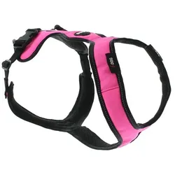 i-DOG Easy (XS, Hund, Hundesport), Halsband + Leine