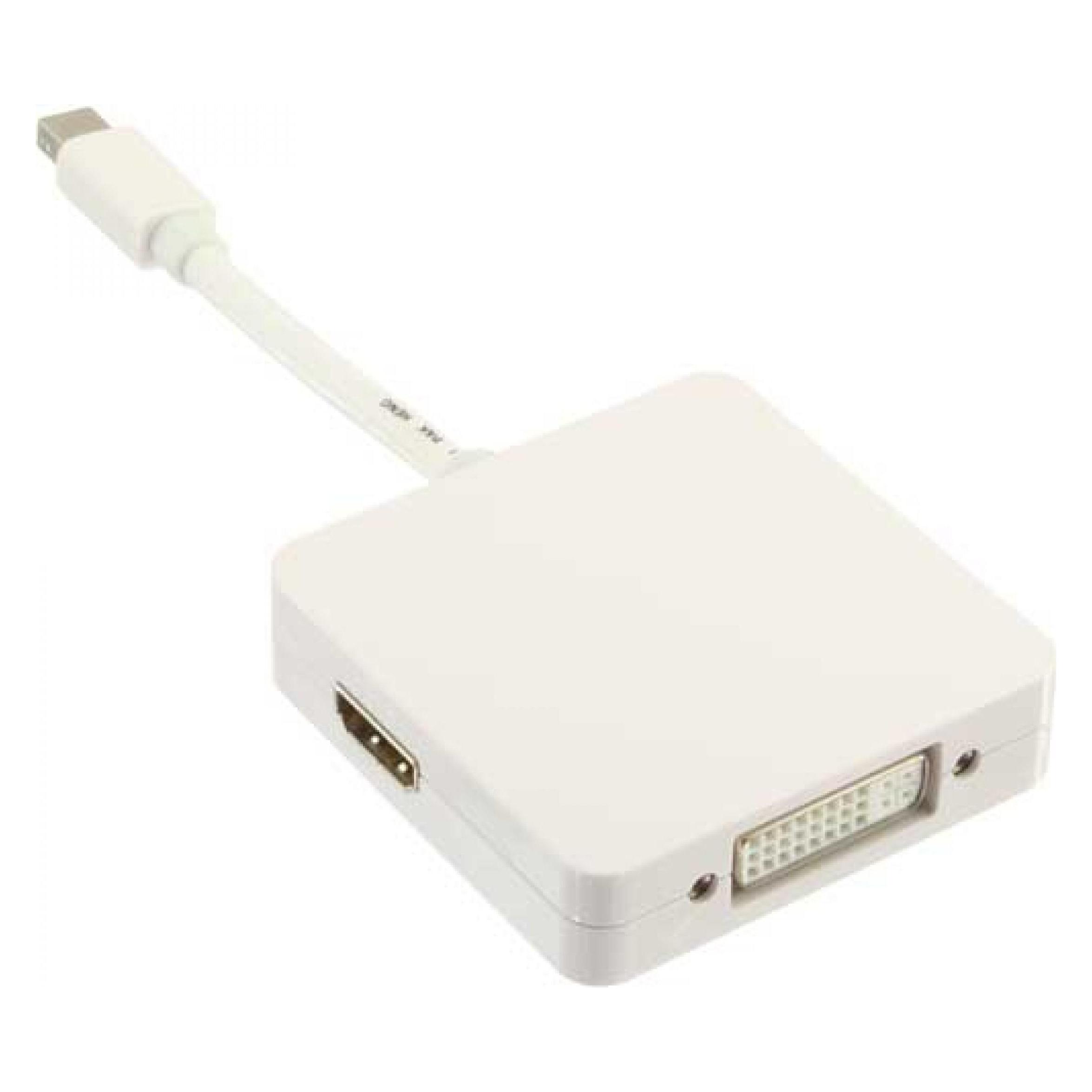 InLine Mini DisplayPort Adapterkabel (DisplayPort, DVI, HDMI) (17195I)