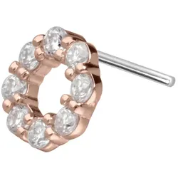14 Karat Gold Aufsatz mit Titan Push Pin MOISSANIT-KREIS