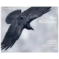 Der Kolkrabe – Totenvogel, Götterbote, tierisches Genie, Fachbücher von Heinrich Haller