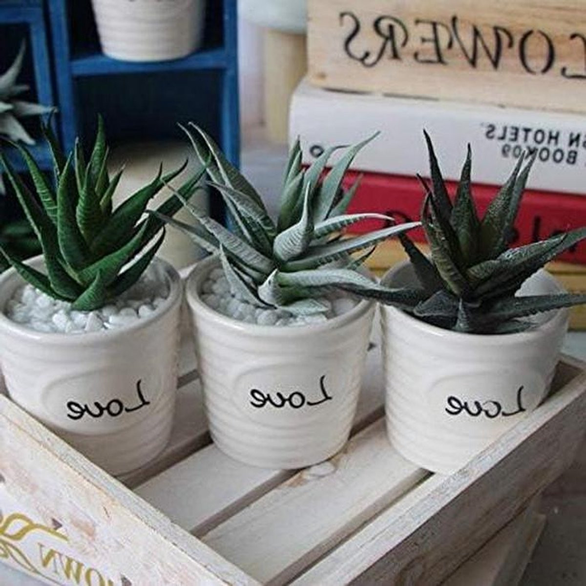Set van 3 realistische kunstvetplanten Aloë decoratie in donkergroen