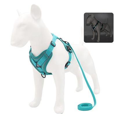 hund katze haustiere geschirr leine tragbar dauerhaft sicherheit draussen laufen buchstabe polyester kleiner hund blau 1pc