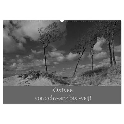 Ostsee - von schwarz bis weiß (Wandkalender 2027 DIN A2 quer), CALVENDO Monatskalender
