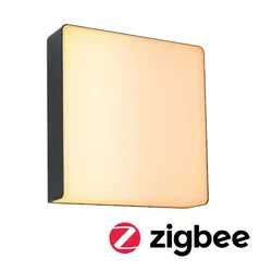 Paulmann 94842 LED Außenwandleuchte Smart Home Zigbee 3.0 Azalena Bewegungsmelder insektenfreundlich