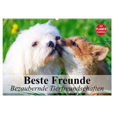 Beste Freunde. Bezaubernde Tierfreundschaften (Wandkalender 2027 DIN A2 quer), CALVENDO Monatskalender