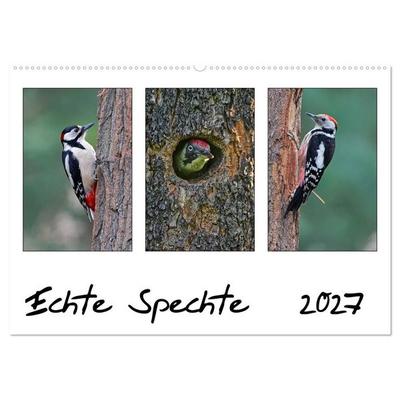 Echte Spechte (Wandkalender 2027 DIN A2 quer), CALVENDO Monatskalender
