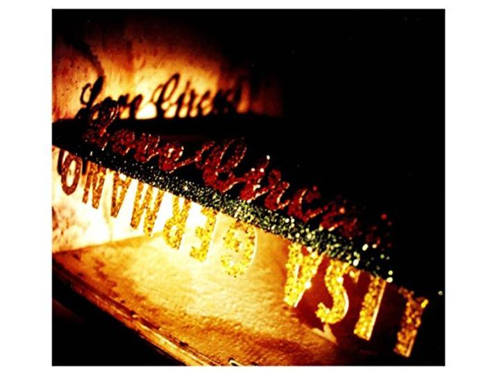 Lisa Germano - Excerpts From A Love -Dig