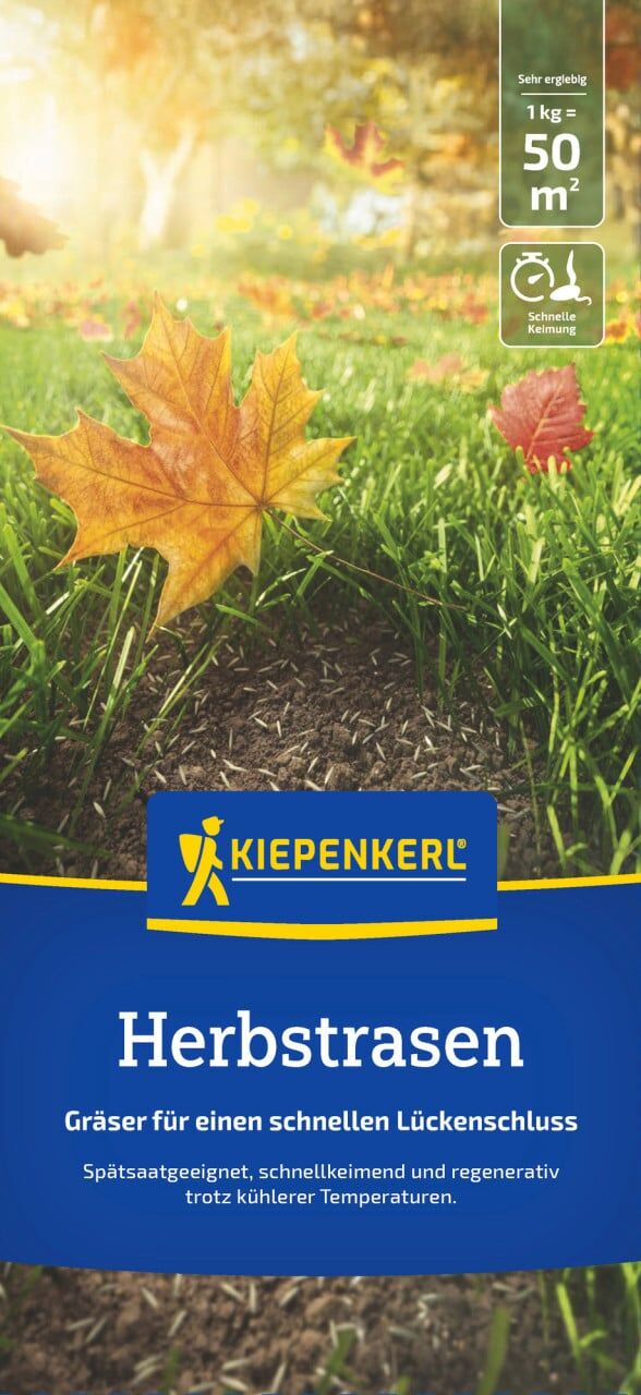 Kiepenkerl Saatgut Kiepenkerl Herbstrasen 1 kg für ca. 50 m²
