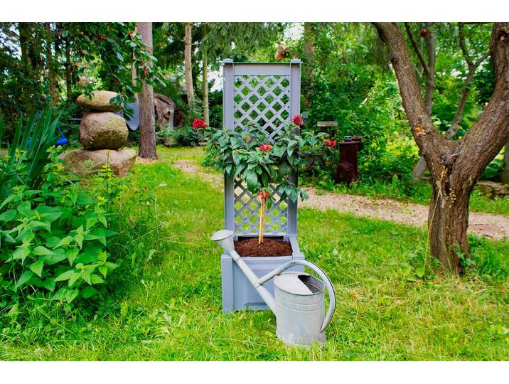 Spalier KHW, grau, B:43cm H:140cm T:43cm, Kunststoff, Rankhilfen, Spalier, mit Pflanzkasten, BxTxH: 43x43x140 cm