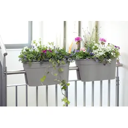 KHW Flowerclip XL, 2er Set Kartonverpackung, grau