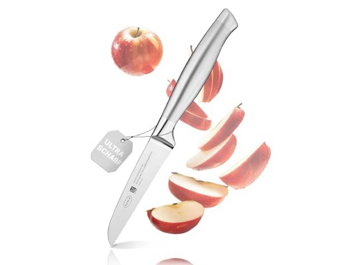 RÖSLE Gemüsemesser Basic Line - 9 cm, hochwertiges Küchenmesser für Obst und Gemüse, Edelstahl 18/10, ergonomischer silberner Griff, scharfes Messer für die Küche