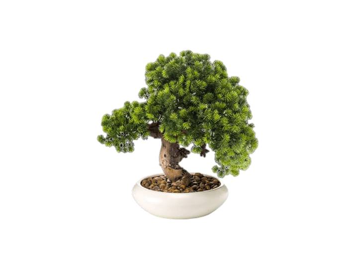 Lebensechte Kunstpflanze „Bonsai White“ Grün, Schwarz Baq Design