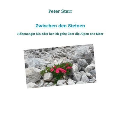 Zwischen den Steinen, Taschenbuch von Peter Sterr, BoD – Books on Demand, 978-3-7460-9877-7