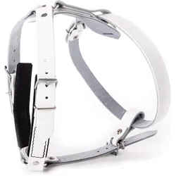 Martin Sellier Hunde-Geschirr Leder Filz (Hund, Spazieren), Halsband + Leine