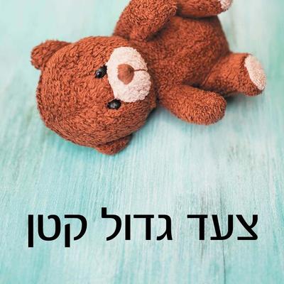 צעד גדול קטן - ג׳ודי פיקו, Audio, 9789152170113