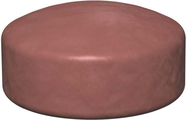 OBO Bettermann Bouchon de protection 165×70 brun FBA-SN165 (7202573)