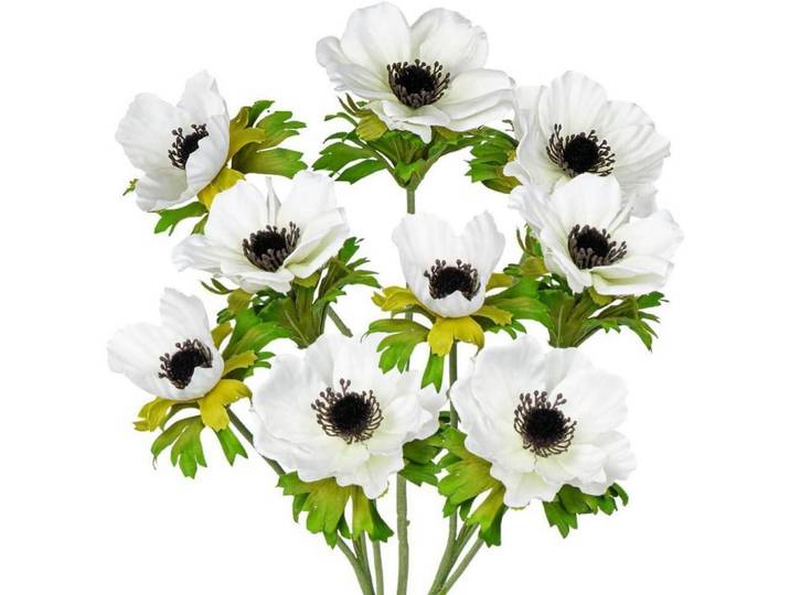 Kunstblumen 3er Set Anemonen Weiß 55 cm, Kunststoff, 56 cm, Dekoration, Blumen & Blumentöpfe, Kunstblumen