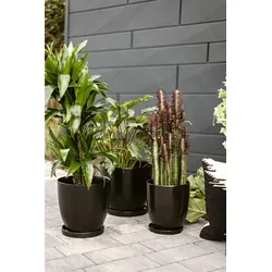 Wikholm form Design Untersetzer schwarz 3er Set ⌀ 19/23/28,5 cm