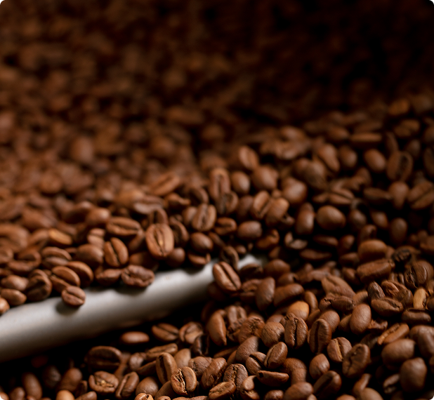 1 Kg - Café En Grain - Madelio Aroma Arabica - Madelio - MaxiCoffee
