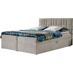 BOXBETT Top 3 - H3
