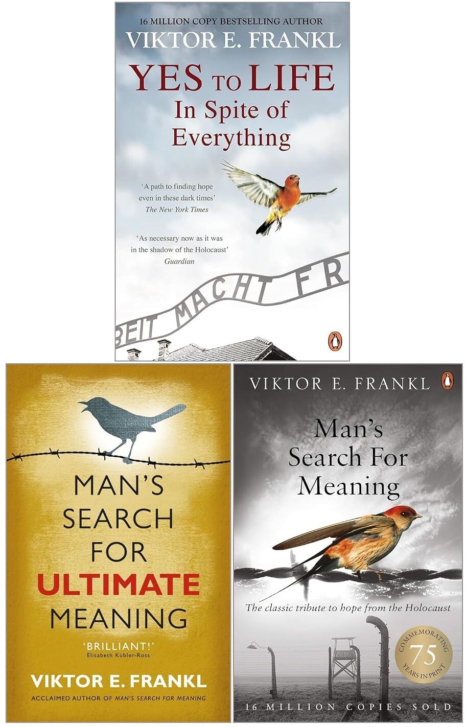 Rider (Penguin) Viktor E. Frankl 3 Books Collection Set - Man's Search for Meaning, Yes to Life, Man's Search for Ultimate Meaning - Paperback - Non Fiction Psychology & Memoir