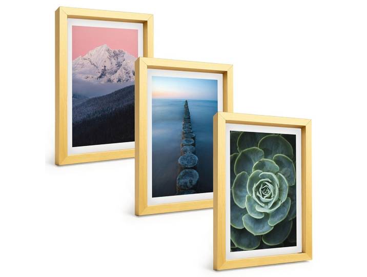 BILDER SET 3er Set - 20x30 cm Goldrahmen - Berge, rosa Himmel, Wasser, Sukkulente