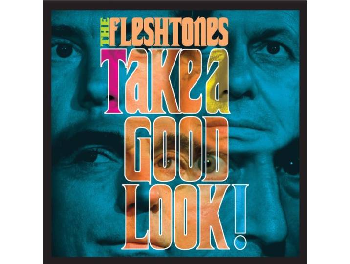 Fleshtones - Take A Good Look