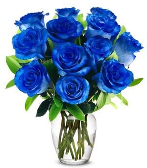 From You Flowers Flowers - One Dozen Blue Roses