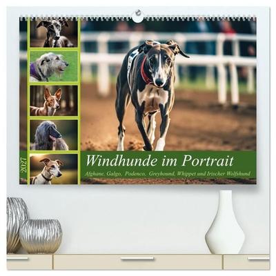 Windhunde im Portrait (hochwertiger Premium Wandkalender 2027 DIN A2 quer), Kunstdruck in Hochglanz