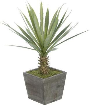 House of Silk Flowers Faux Baby Yucca in Washed Wood Cube Planter