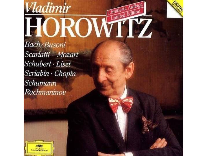 Portrait of Vladimir Horowitz